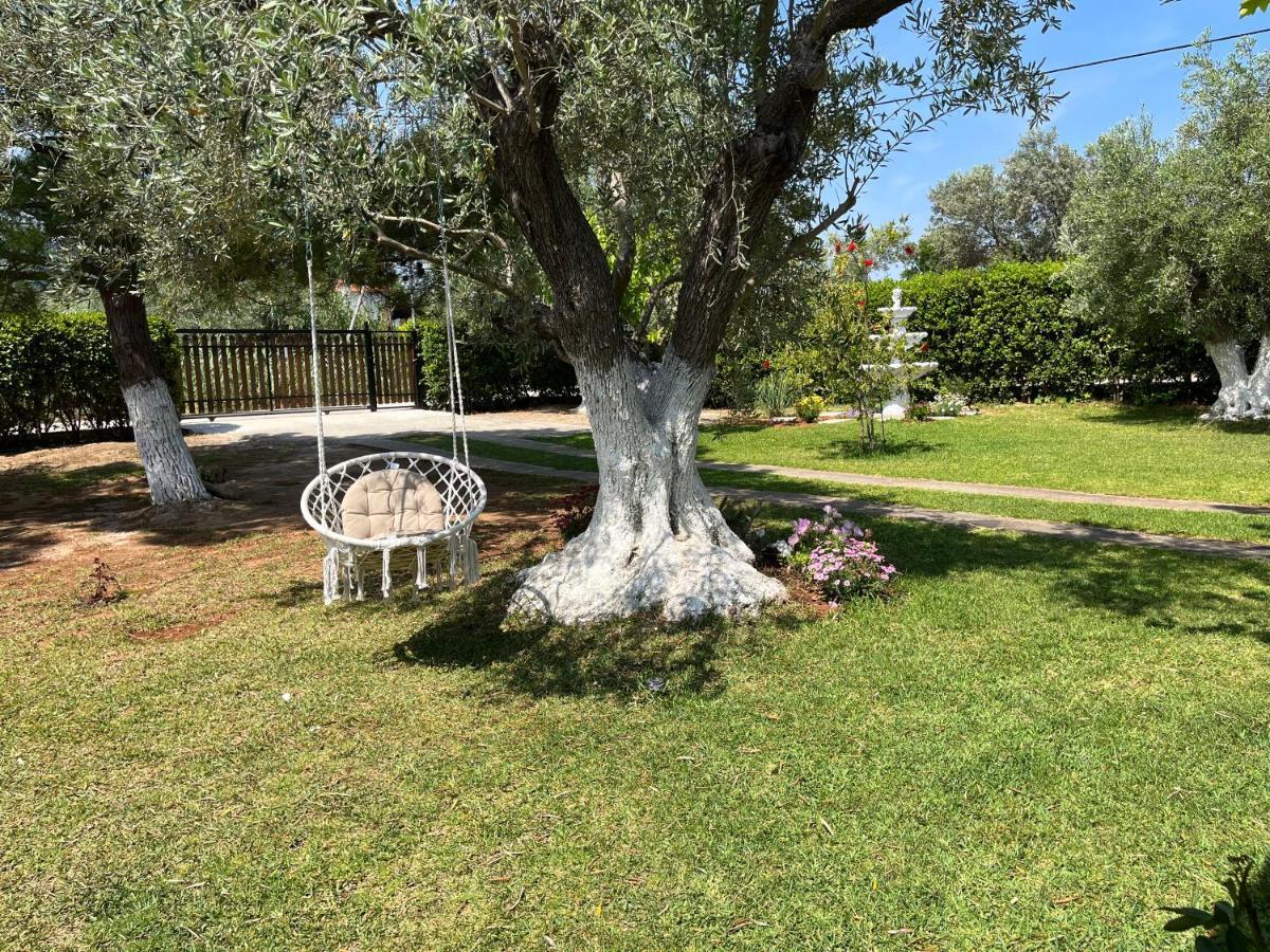 Les Olives Woodhouse Holiday home *