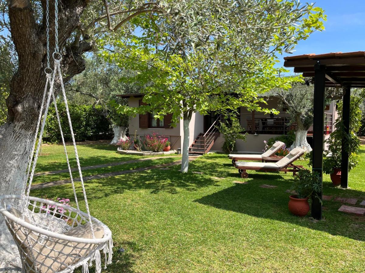 Les Olives Woodhouse * Drosia (Central Greece)