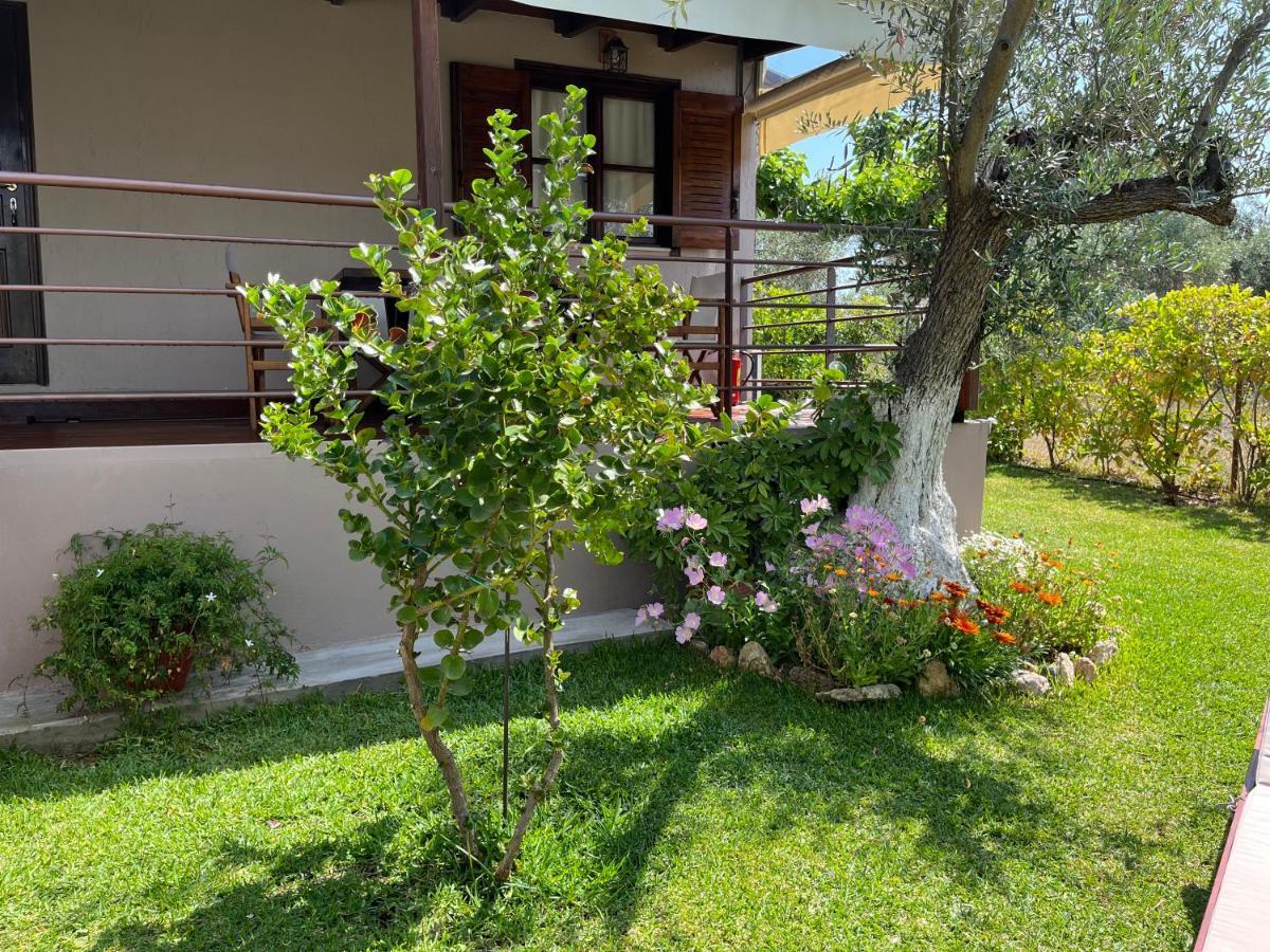 Les Olives Woodhouse Drosia (Central Greece)