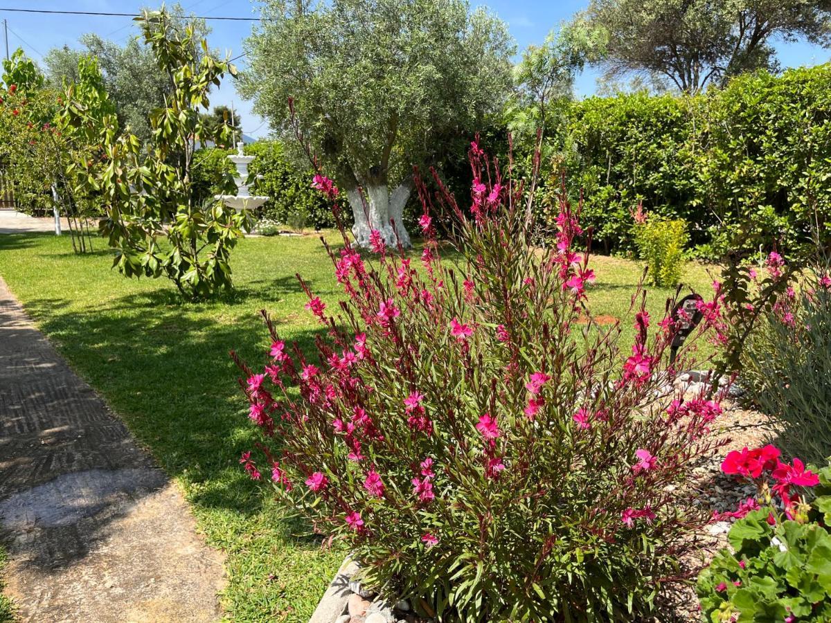 Les Olives Woodhouse Holiday home
